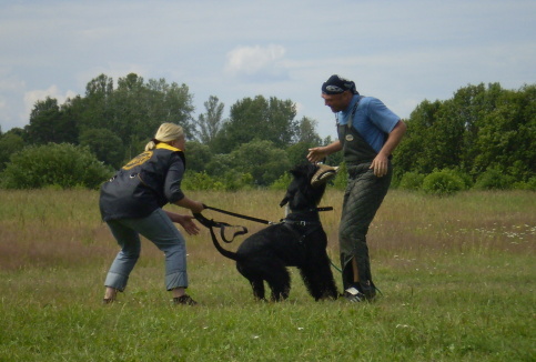 Training in Estonia 6/2007